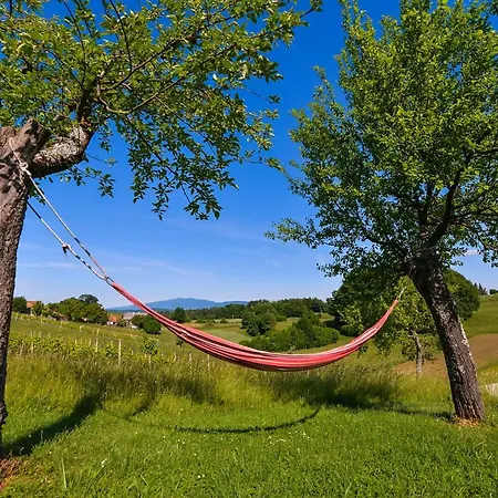Chalet Self Catering Holiday Near Terme Catez - Sleep 7 Obrezje