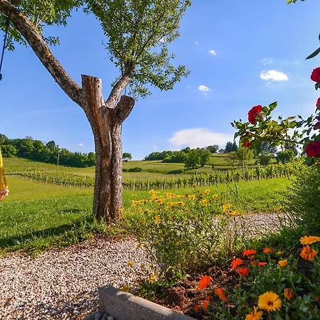 Self Catering Holiday Near Terme Catez - Sleep 7 Chalet
