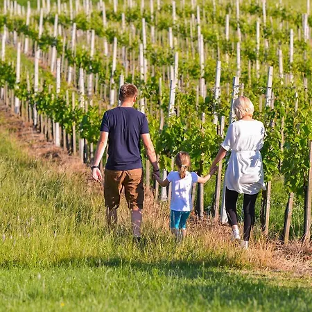 Self Catering Holiday Near Terme Catez - Sleep 7 Obrezje